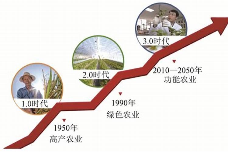 缓控释肥分类
