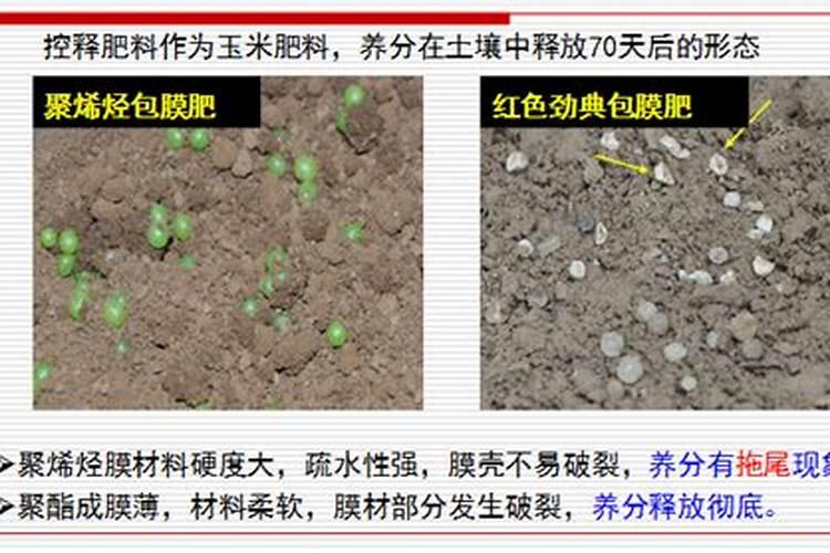 肥料股票龙头有哪些？