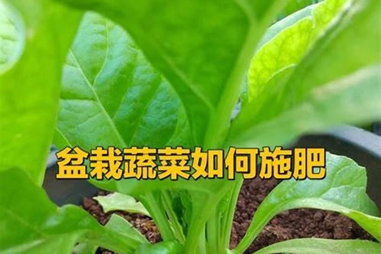 绿豆开花到成熟多少天