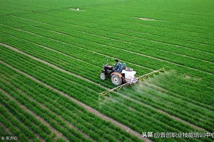 20个氮20个磷5个钾的掺混肥种麦子够用吗？