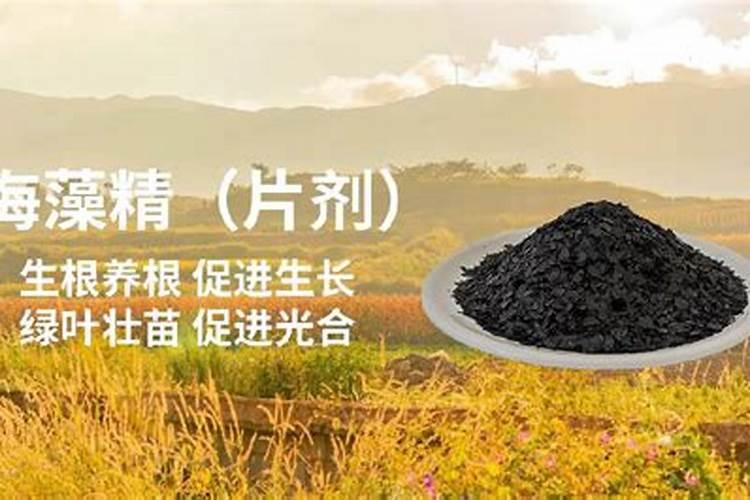 腐植酸、氨基酸、海藻素和鱼蛋白