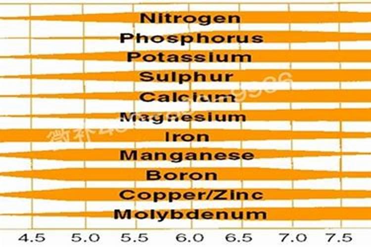 土壤营养元素不均衡怎么办