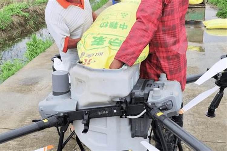 水稻追肥什么时间最合适