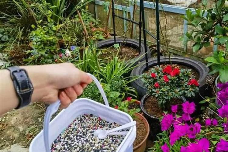 网上的化肥能买吗