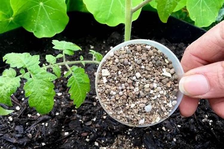 黄腐酸钾使用的禁忌 需要注意什么