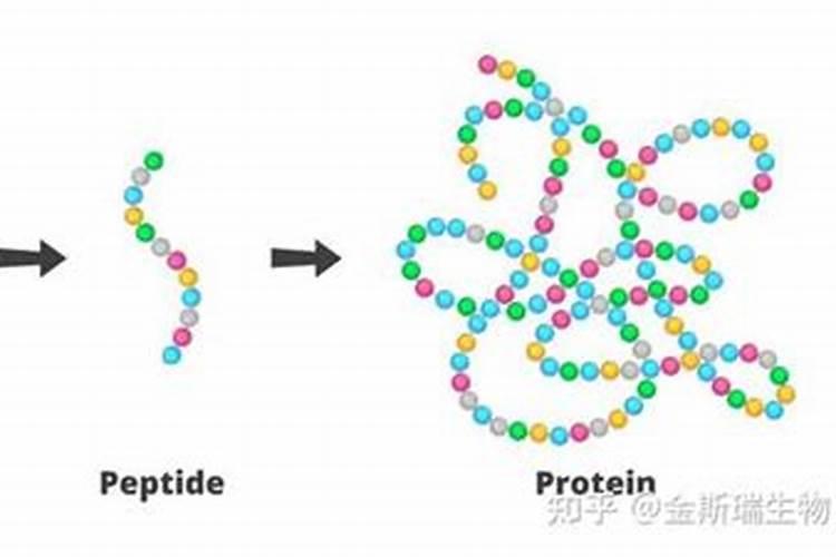 试管取卵前“打夜针”是什么？
