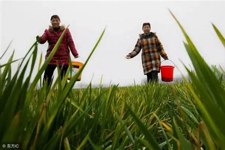 豆汁与豆浆有什么区别