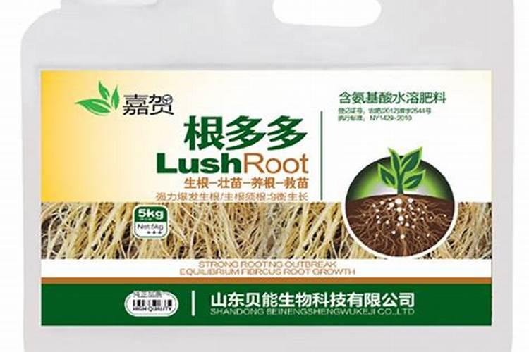 松鳞怎么发酵腐熟