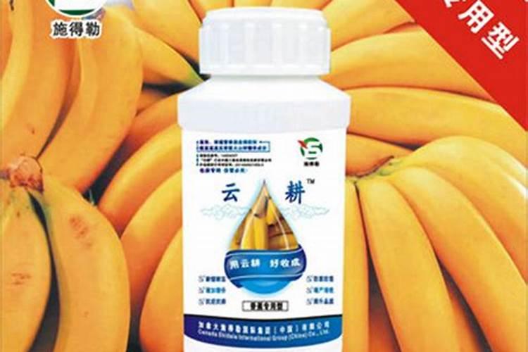 请问老师怎样给香蕉施肥？