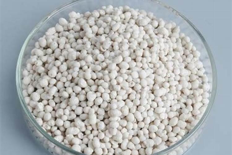 槟榔施肥要挖沟吗,槟榔树适合在哪些地区种植