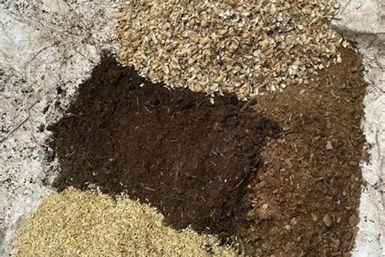 国内氨基酸水溶肥生产厂家有哪些？