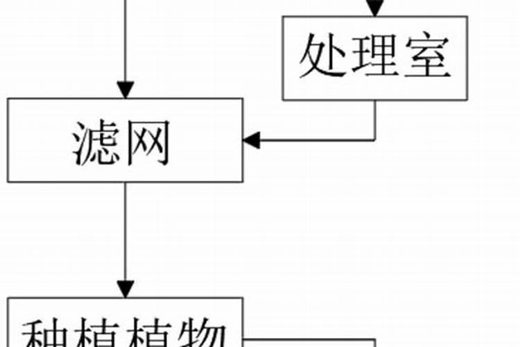 喷什么叶面肥芹菜长得快 喷施方法有哪些