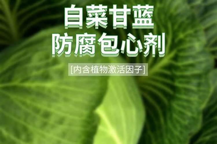 甘蓝怎样快速包心,附包心期的肥水管理