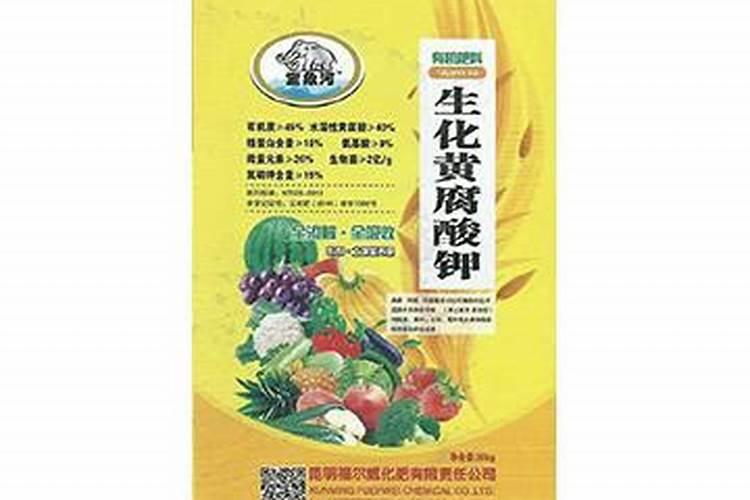 如何拥有风元素