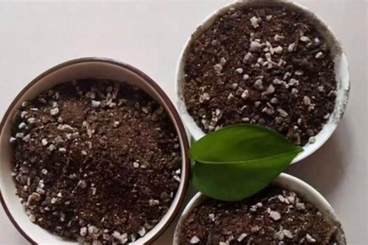 家庭养花需要用哪些肥料