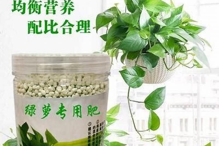 浇花用什么肥料最简单？