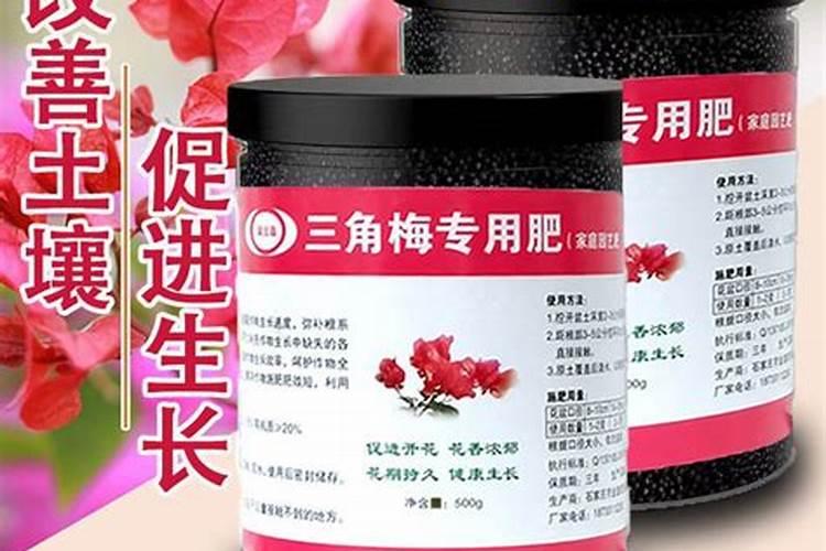 哪种肥料对催花效果最为显著