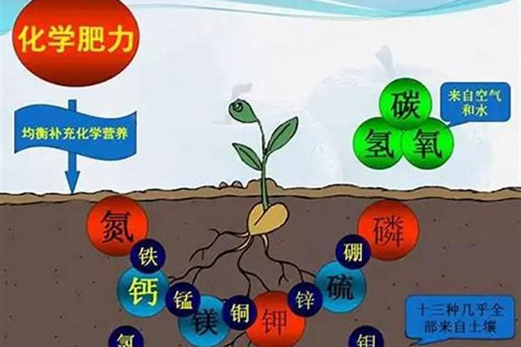 马铃薯一天浇几次水