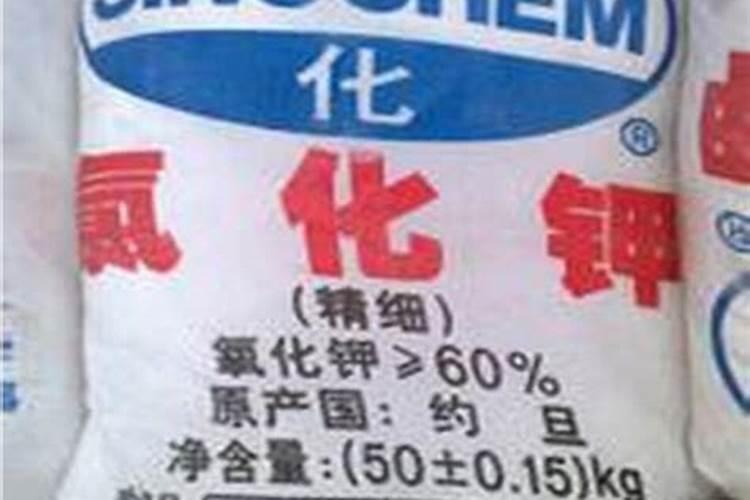 钾肥的主要产出国是哪？