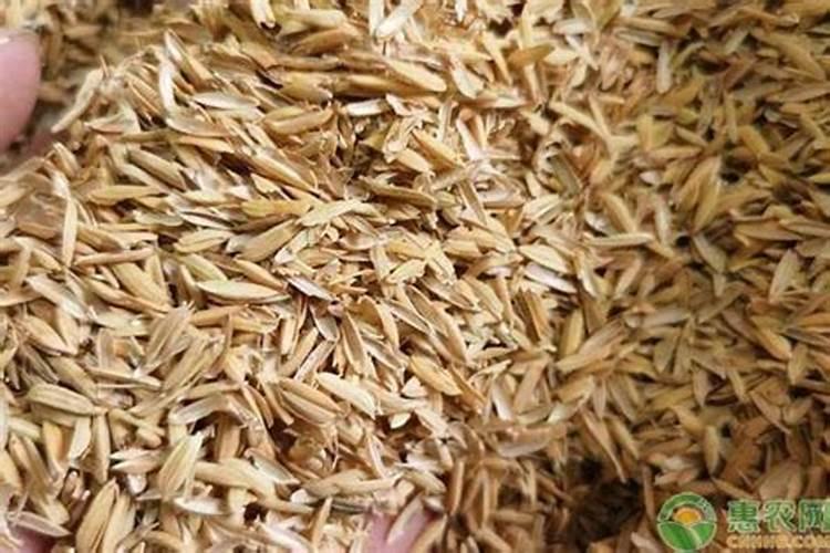 彩椒平衡肥和高钾肥如何使用