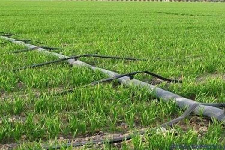 西瓜什么时候追肥合适,高产追肥方法