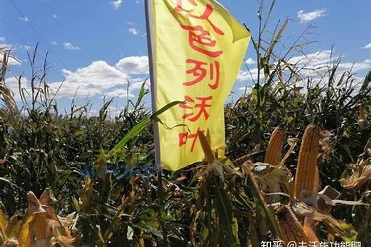 天脊硝酸磷肥80斤多少钱一袋