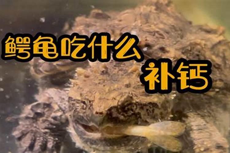 花生喷硼肥的最佳时间