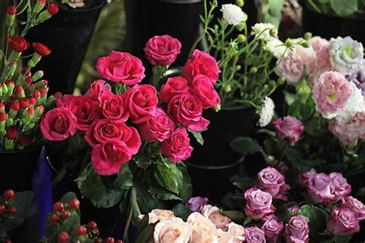 花卉施肥后需要立刻浇水吗 如何科学施肥