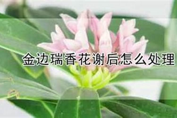 包田种水稻挣钱吗？