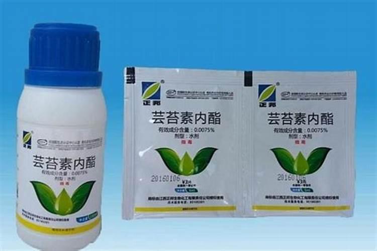 芸苔素内酯哪个厂家好