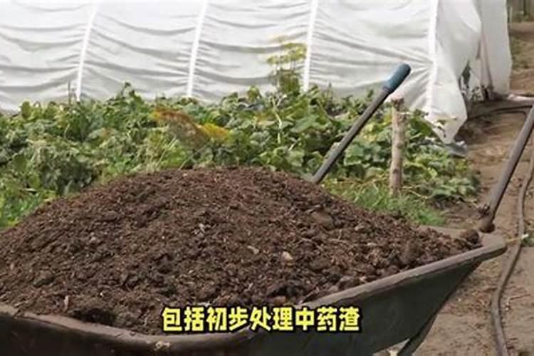 肥料怎么做 制作肥料方法