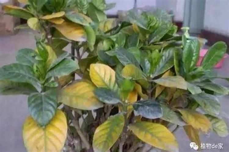 要正确使用920兑水,应该怎么做？