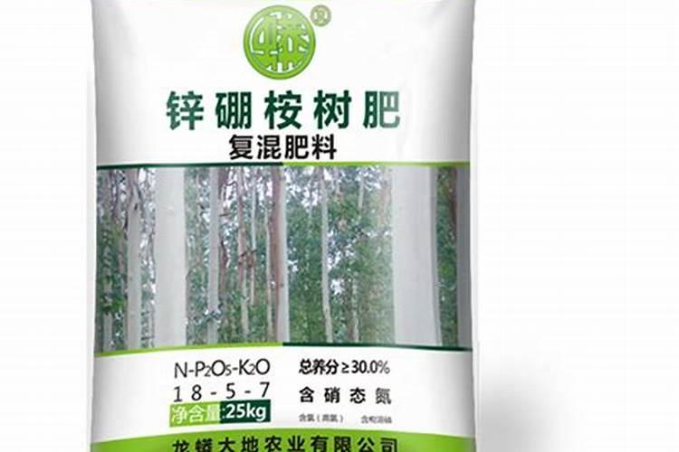 客家山区秋冬季节时有种叫圆子的坚果,不知其学名是什么？求高手指点...