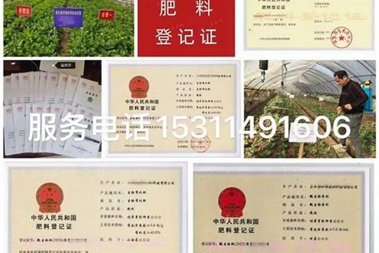 大量元素水溶肥续展需要什么资料