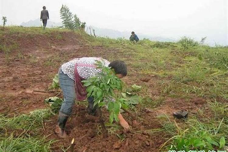 矿源黄腐酸钾的混施禁忌,黄腐酸钾是什么东西