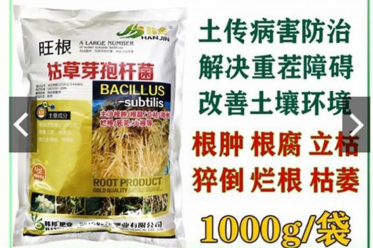 种植葡萄需要什么肥料 改善水果品质