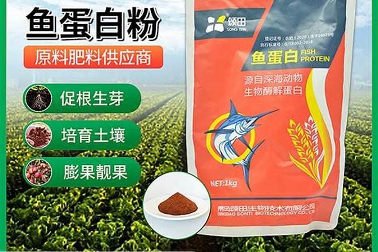 国内比较好水溶肥厂家有哪些