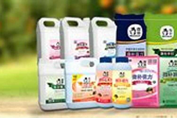 白色草莓是哪个国家的 白草莓的价格是多少