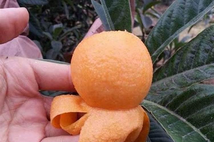 喷浆硫基是什么意思