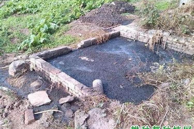 家用自制氮肥有哪些