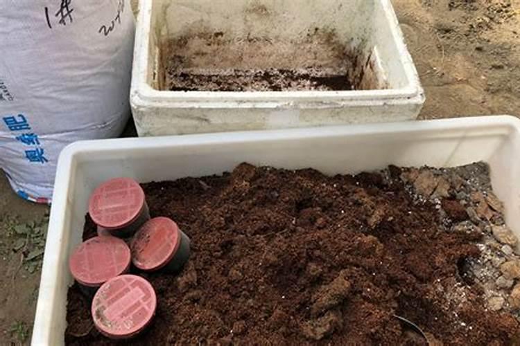 氮肥和磷肥怎么区分