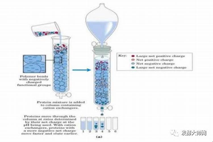桃树被水淹了,叶子发黄掉落怎么办？