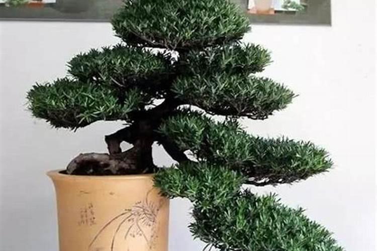 食盐为什么要加氯化钾