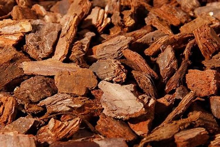 种石斛需什么肥料？施肥方法