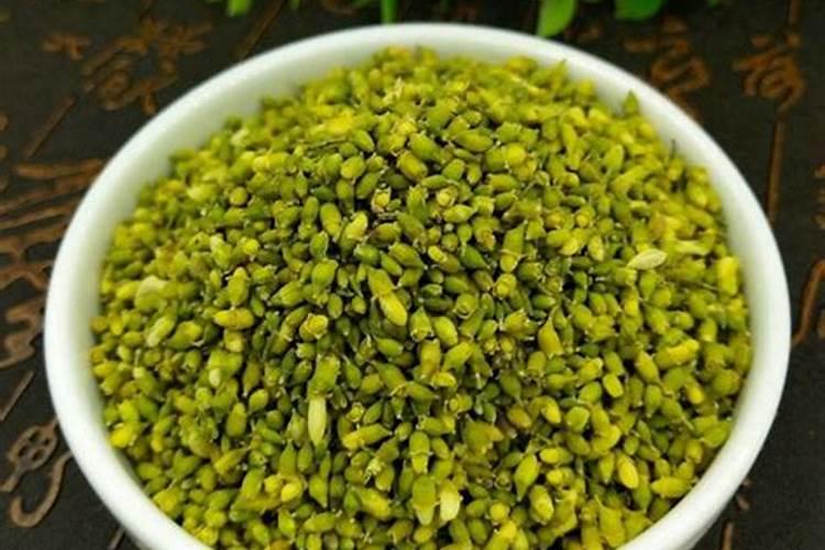 养石斛用什么肥料