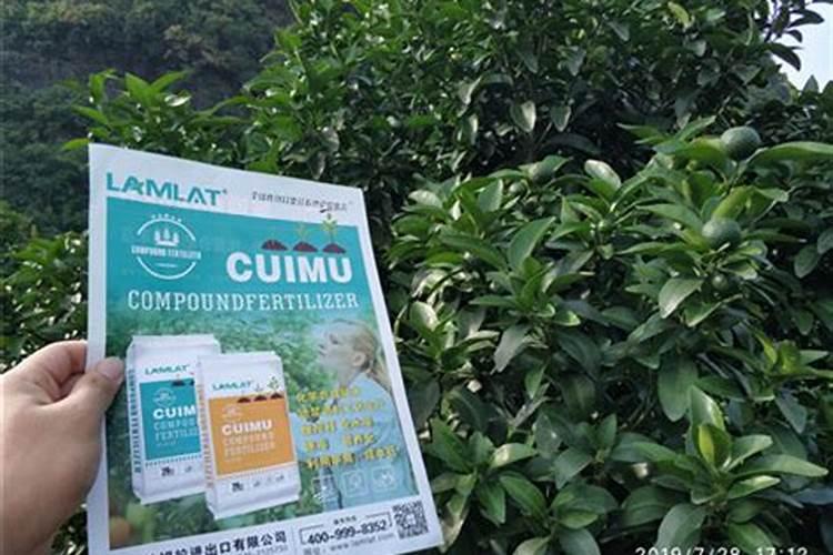 湖北美德盛化肥有限公司怎么样？