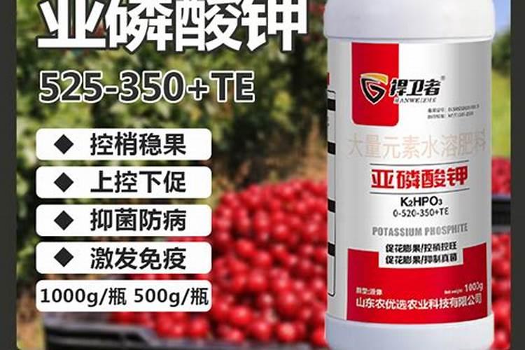 果树越长越旺,不结果怎么办？