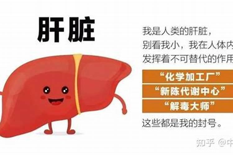 稻田施肥方法和注意事项