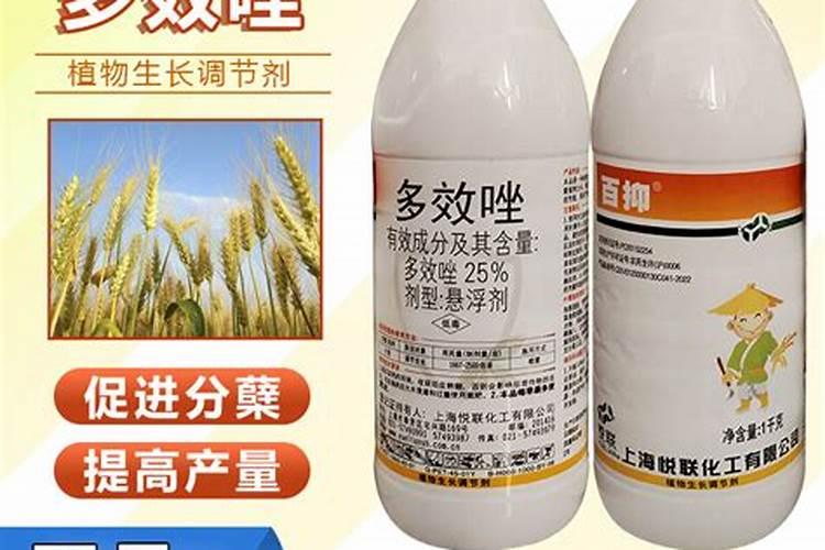 小麦分蘖期喷什么叶面肥 小麦分蘖期能打多效唑吗