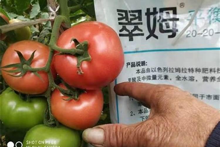 氮磷钾的化学符号